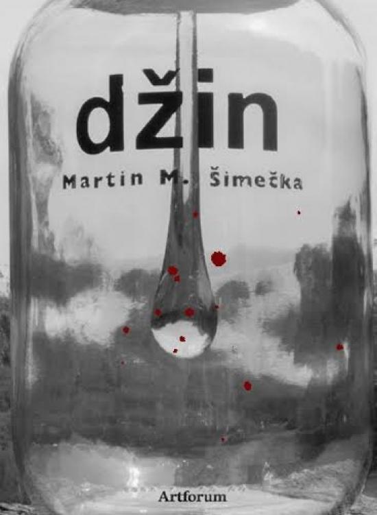 Kniha: Džin - Šimečka Martin M.
